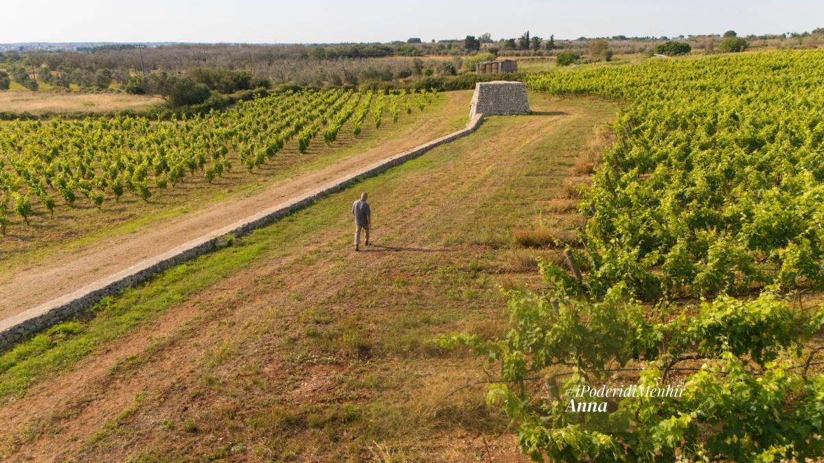 WINE & SENSE WINE & SENSE