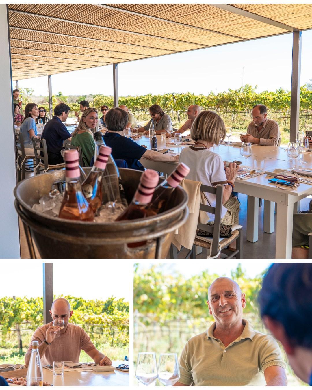 WINE & SENSE WINE & SENSE