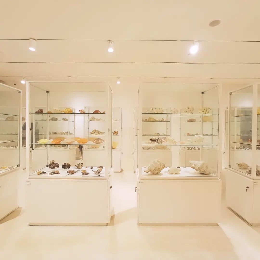 Leukos - Museo Civico del Corallo Bianco Leukos - Museo Civico del Corallo Bianco