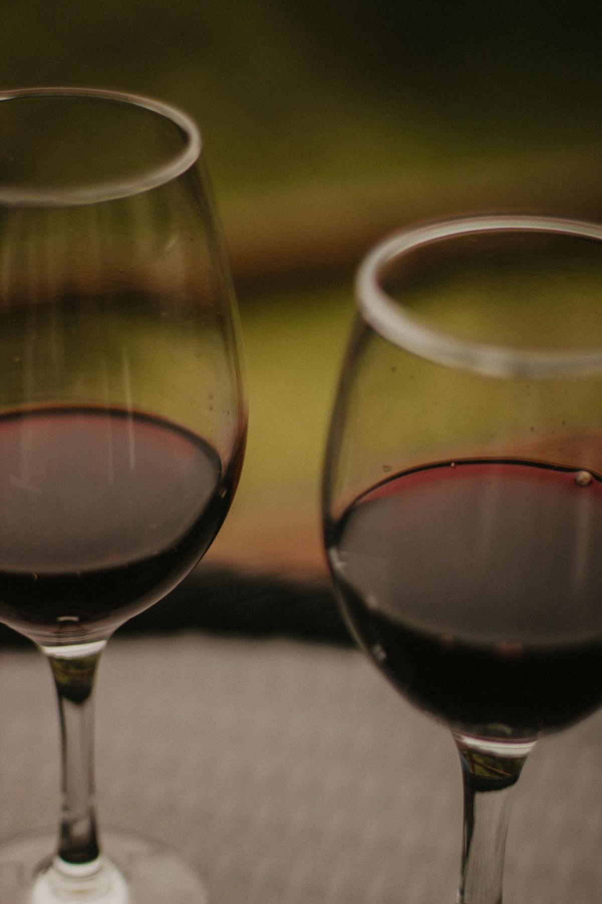 Cammini di Vini