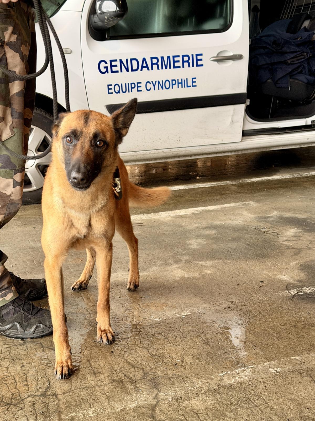 2ème jour de la semaine de formation 2025/2026 des Cadets Gendarmerie des Landes