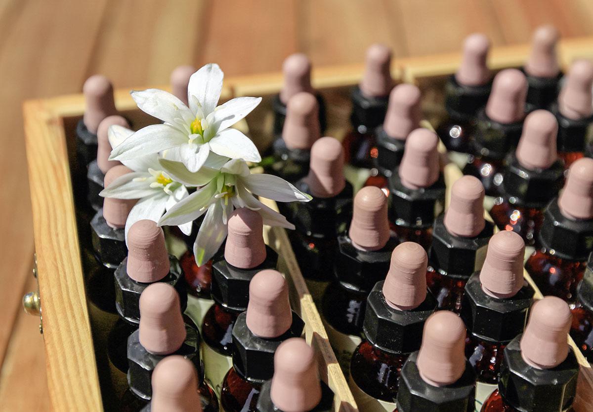 Gestion du stress Gestion du stress