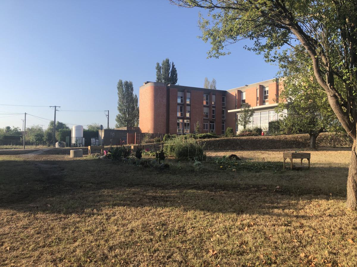 Potager des collaborateurs Potager des collaborateurs