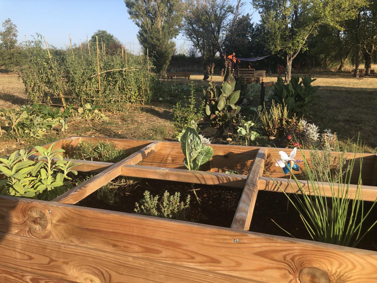 Potager des collaborateurs Potager des collaborateurs