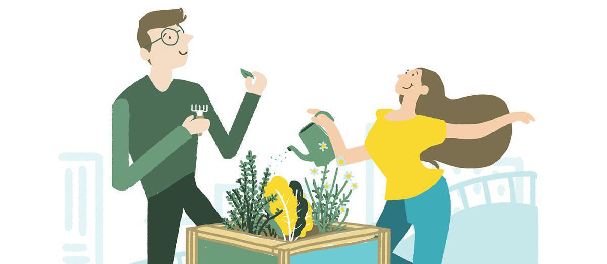 Potager des collaborateurs Potager des collaborateurs