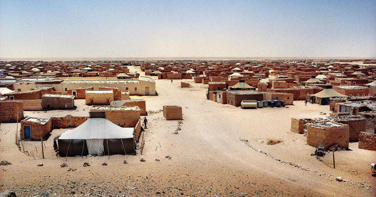 French Expert Slams Polisario's Gross Human Rights Violations in Tindouf Camps