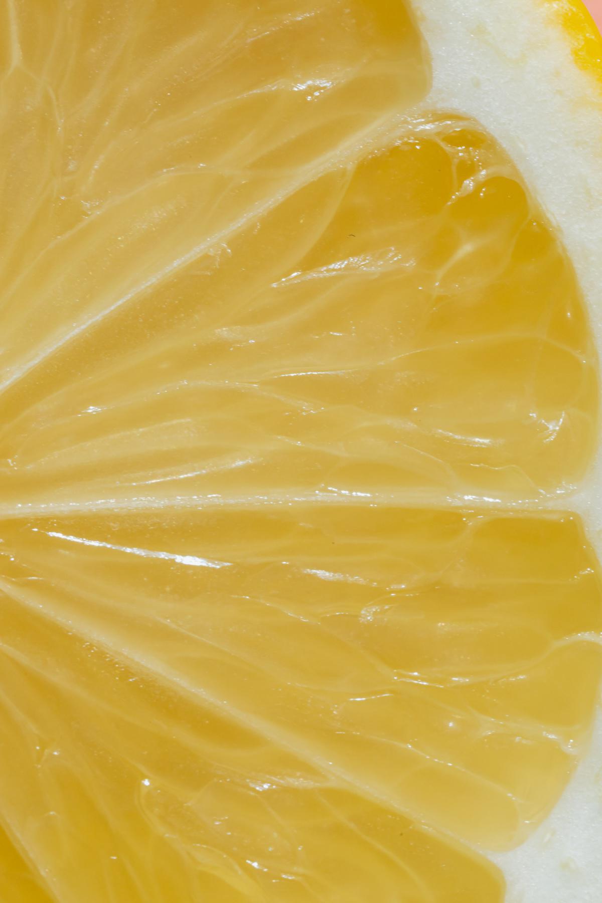 The Citron, Moroccan Citrus Fruit That Adorns Israeli Celebrations of 'Sukkot'