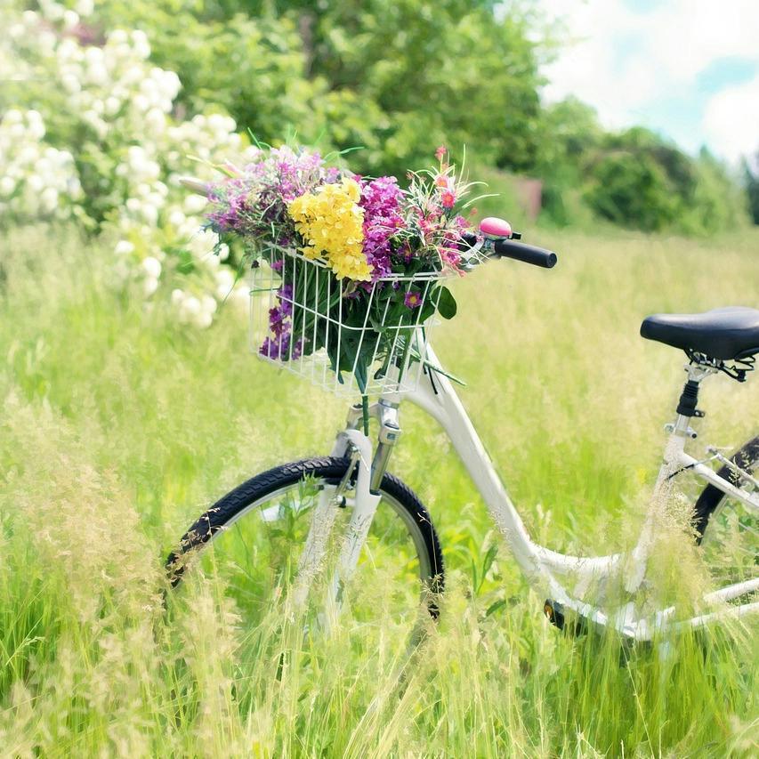Prendre l'air de la campagne Prendre l'air de la campagne