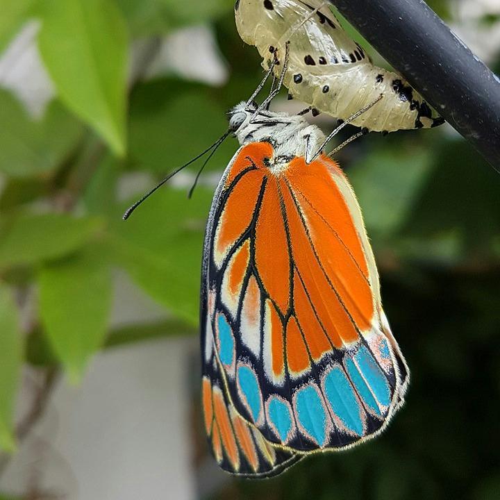 La transition du CSE est engagée La transition du CSE est engagée