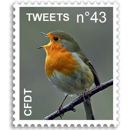 CFDT Tweets n°43 CFDT Tweets n°43