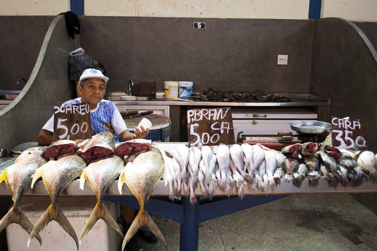 Belém - Mercado de Peixe do Ver-o-Peso é entregue após ampla reforma.