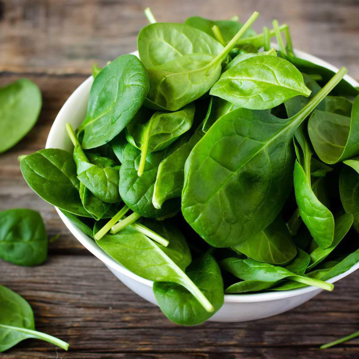 Spinach (Spinacia oleracea)