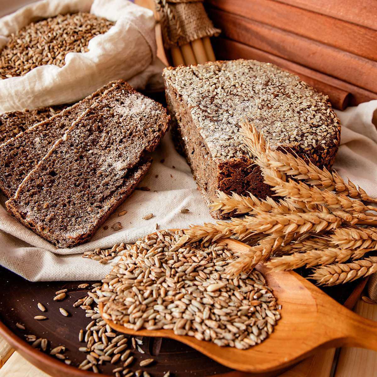 Rye (Secale cereale)