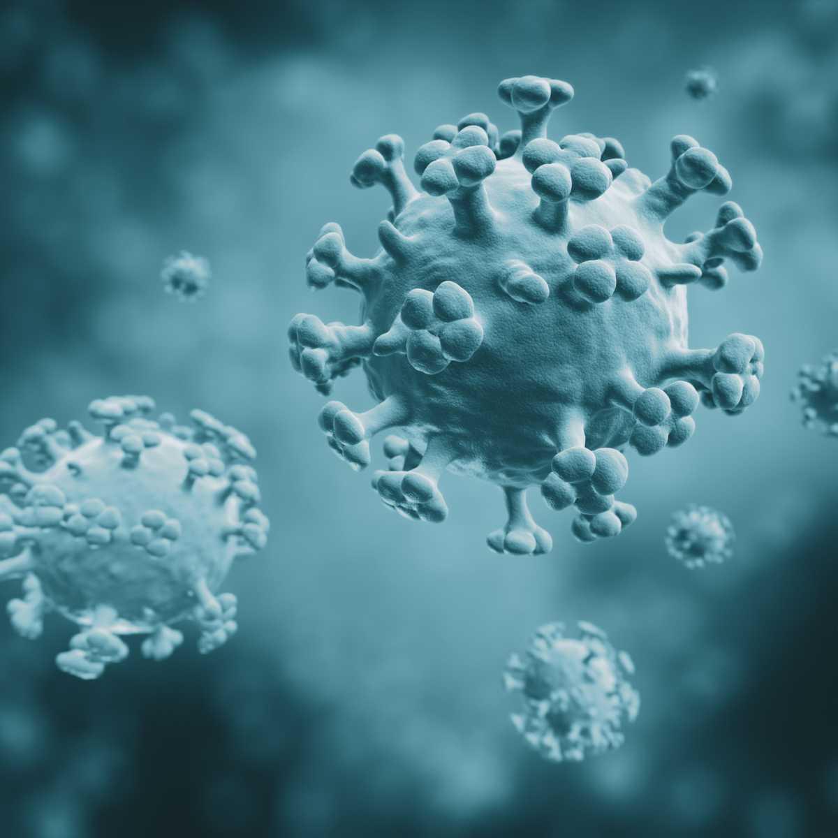 Diet plan for colds and flu