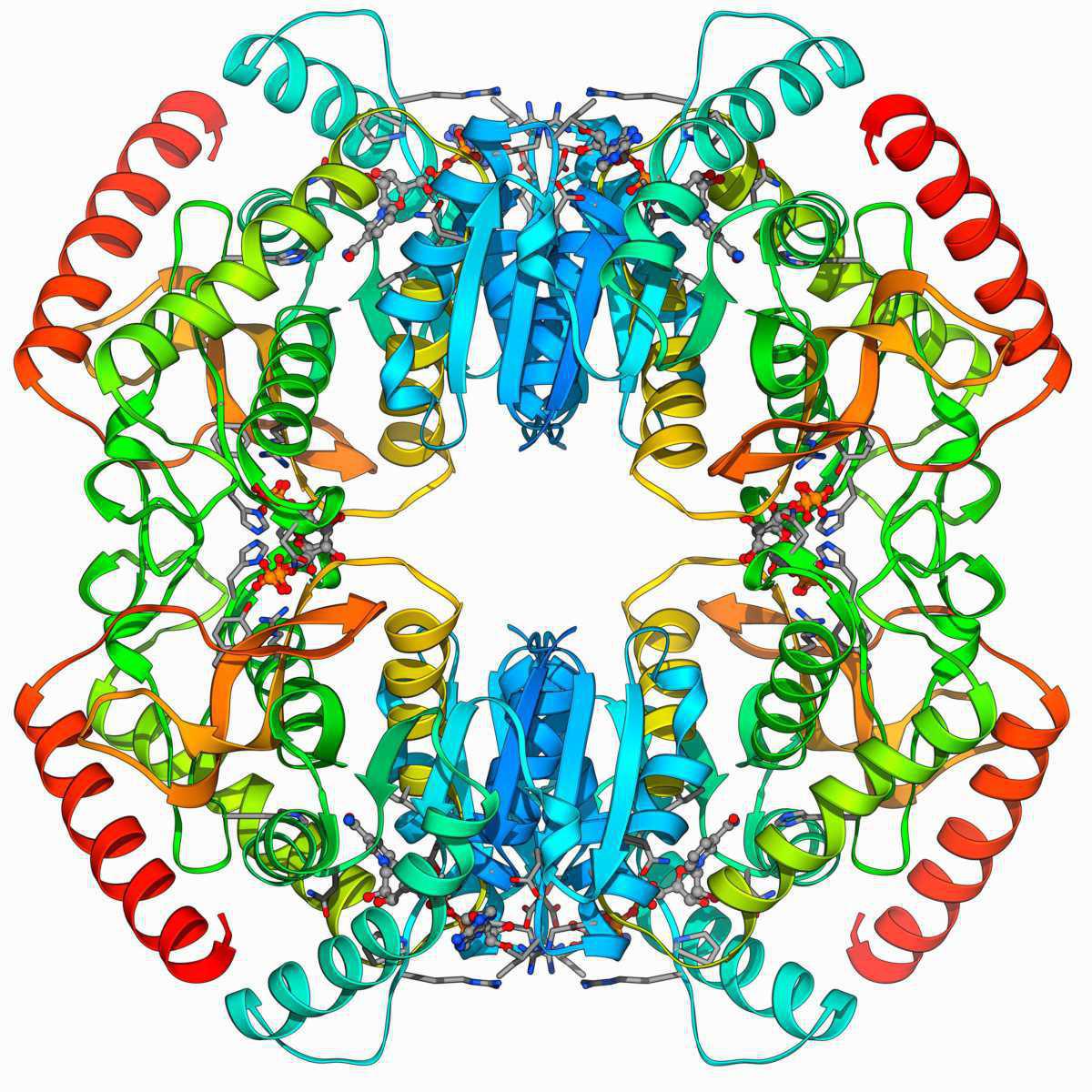  What is an enzyme?
