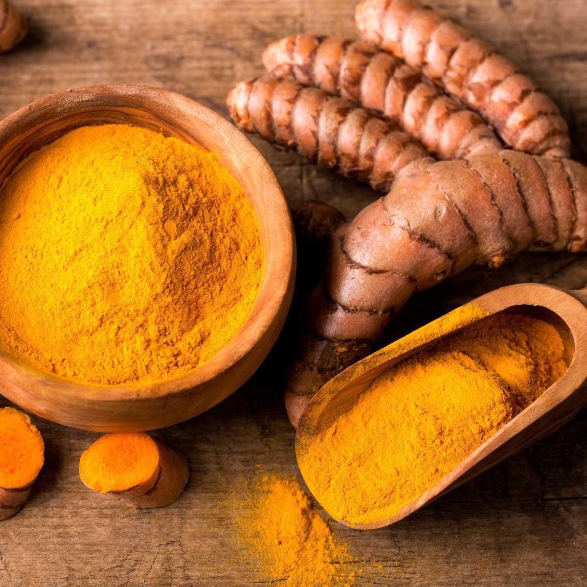 Turmeric (Curcuma longa)