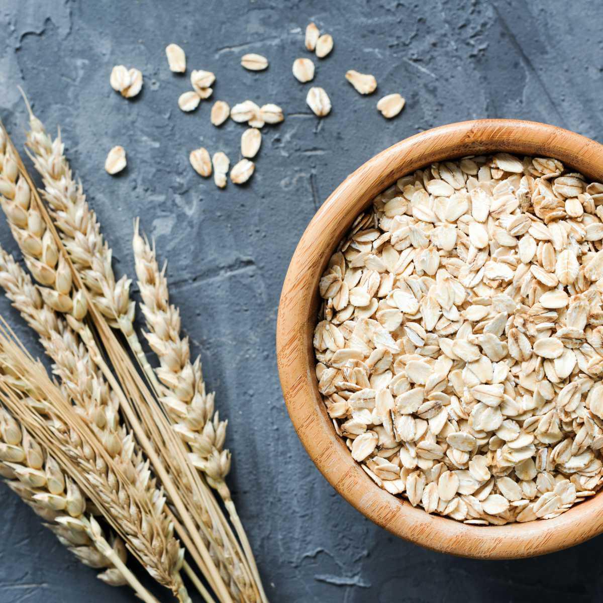 Oats (Avena sativa L.)