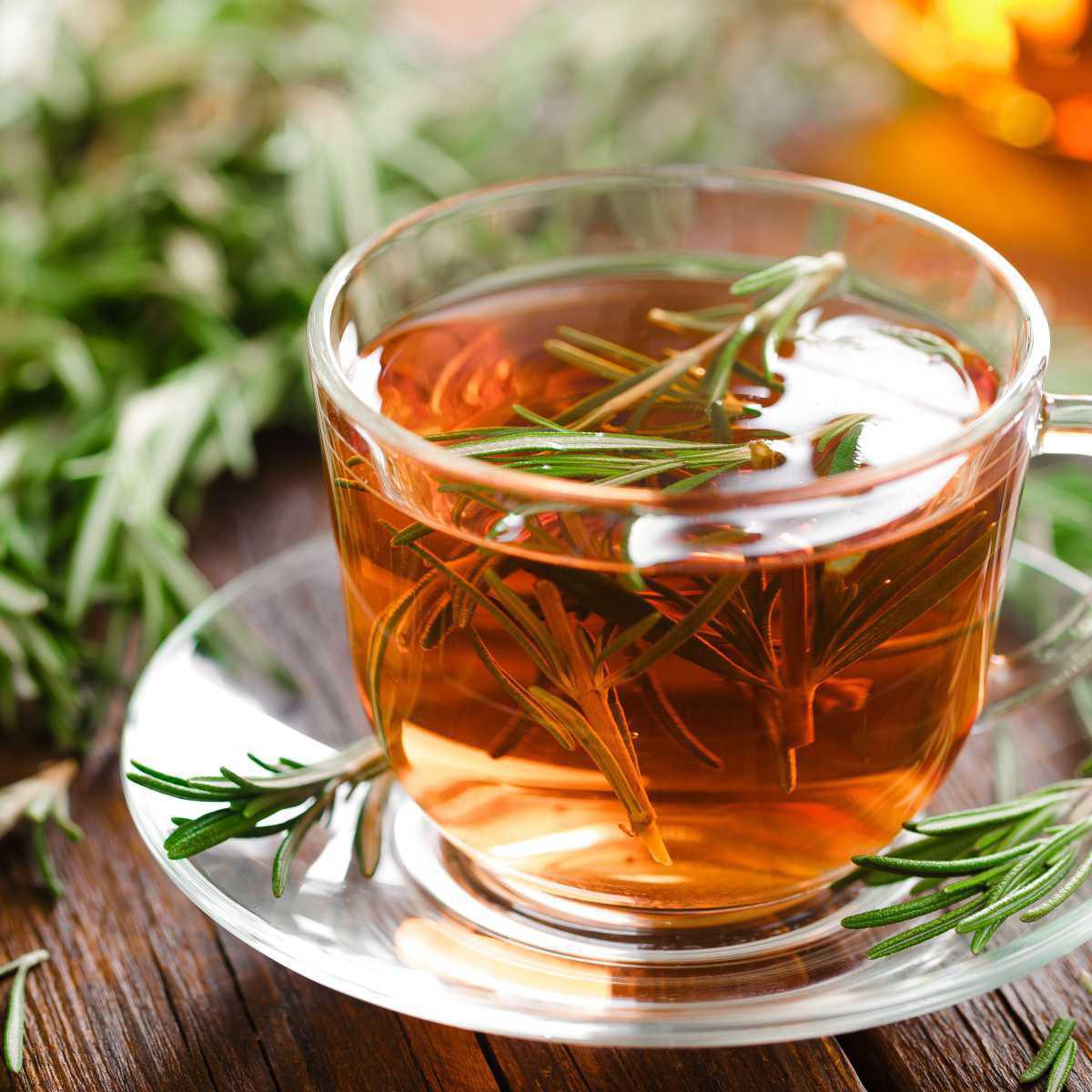 Rosemary Infusion