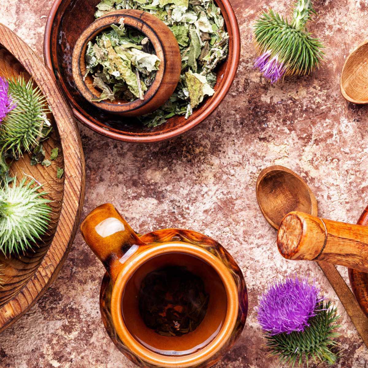 Milk thistle Infusion