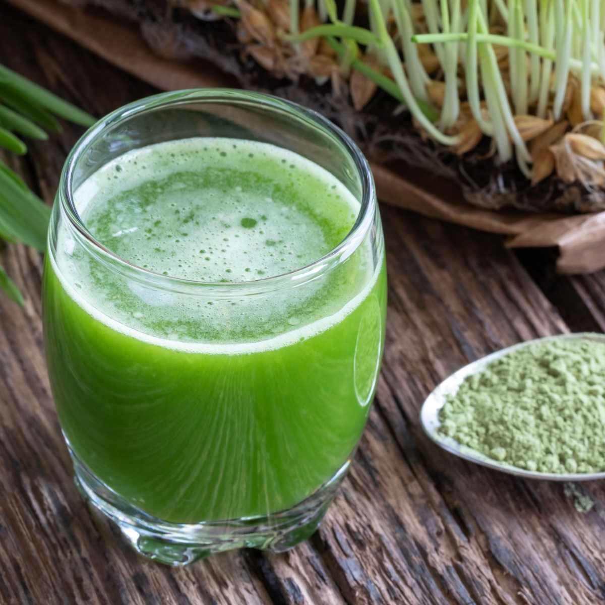 Grass Juice