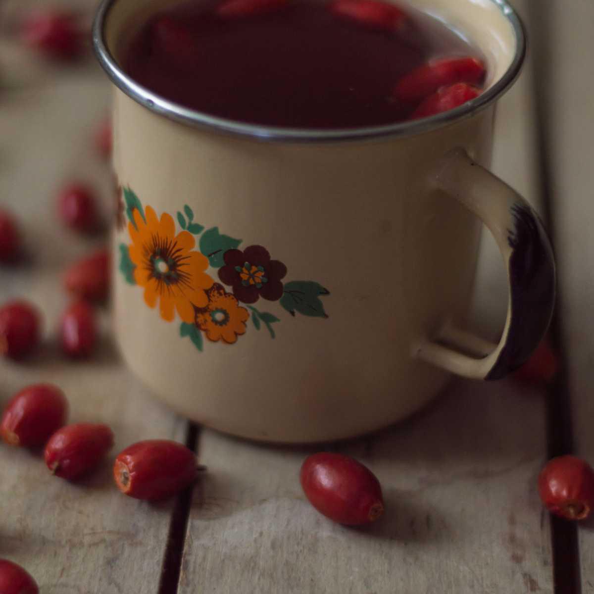 Dog-rose Infusion