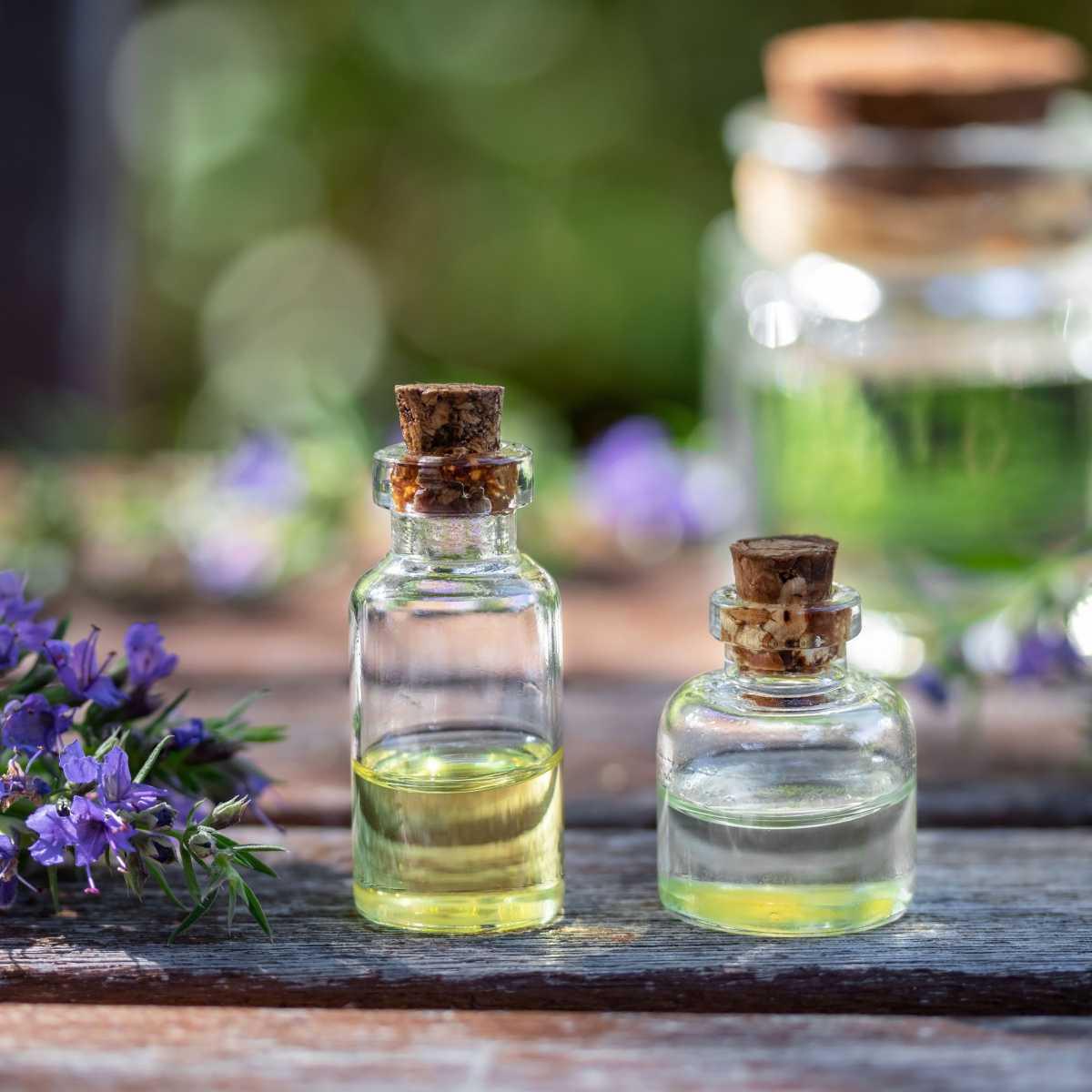 Hyssop Syrup