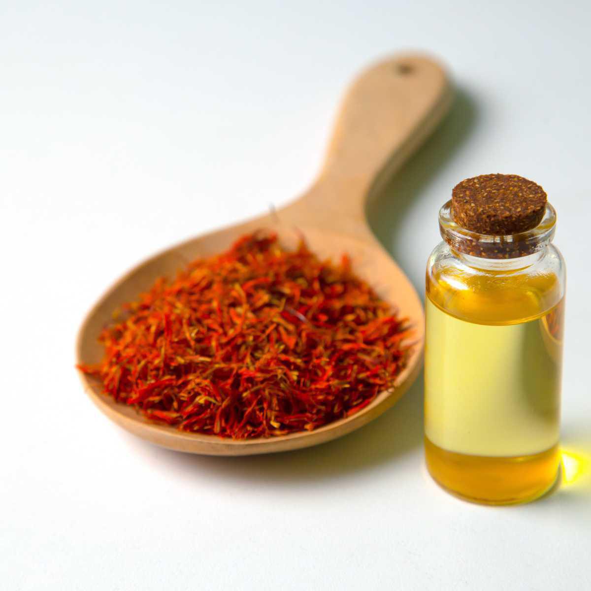 Safflower (Carthamus tinctorius)