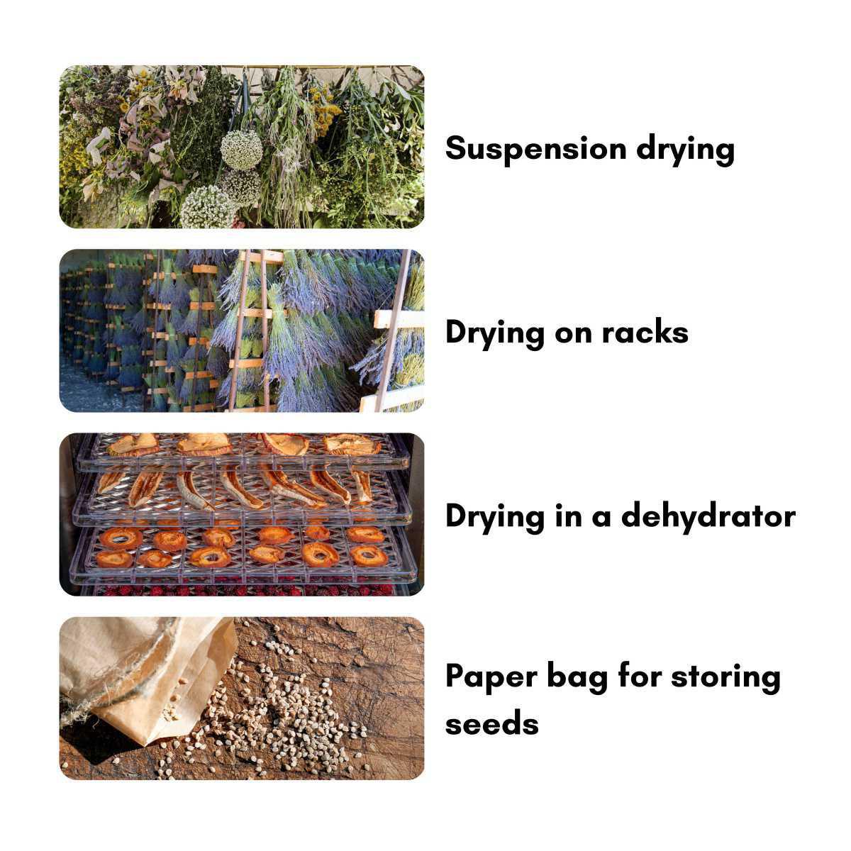 1 - From planting to conservation 
