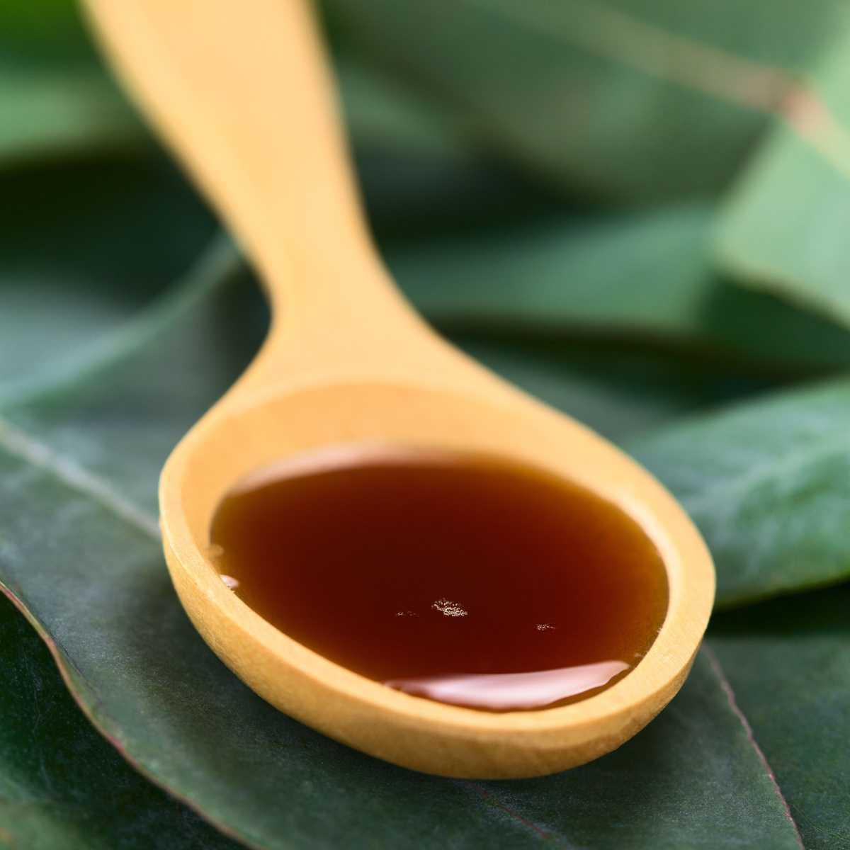 Protocol for the production of syrup