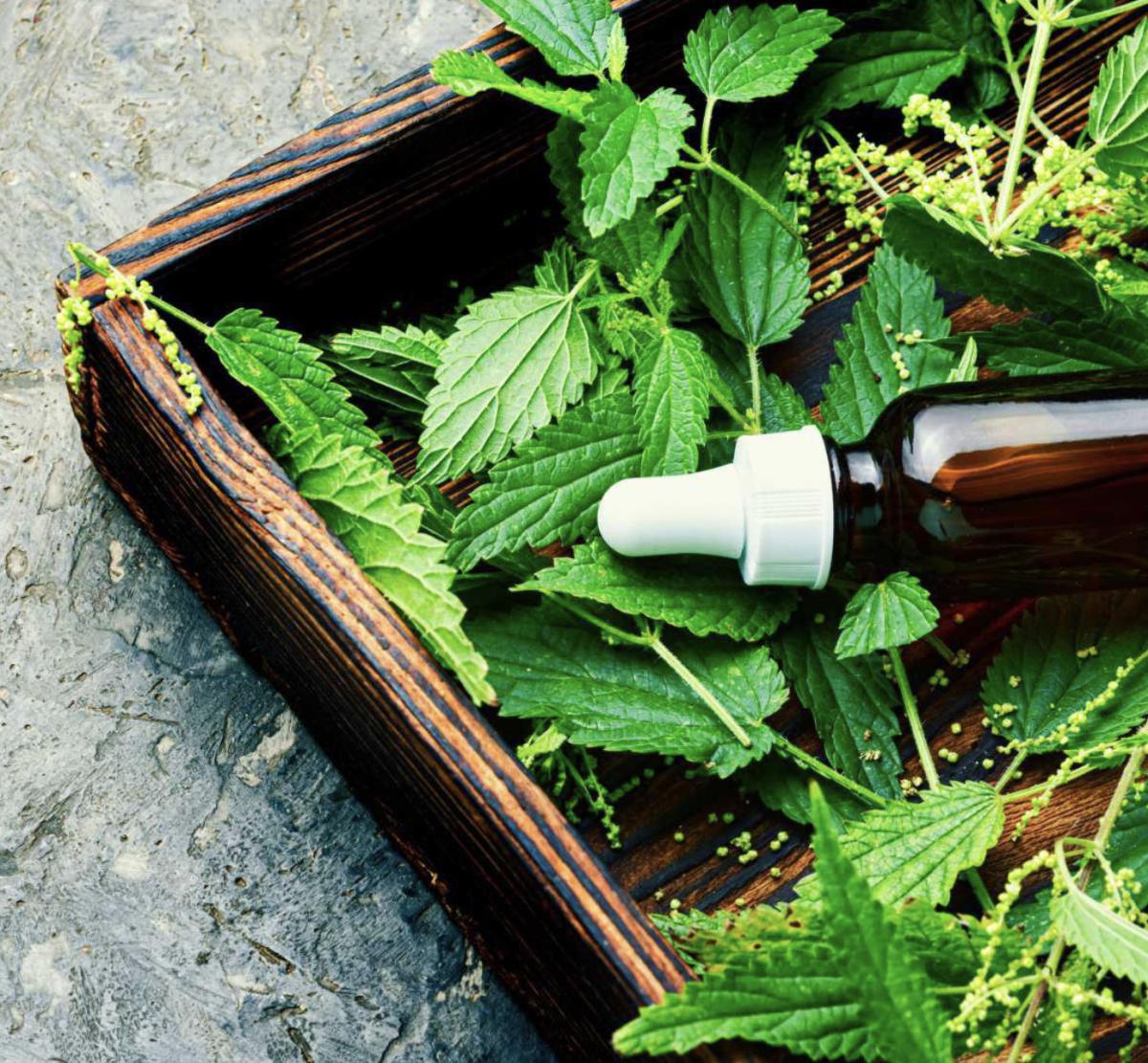 Mineralising liquid concentrate 