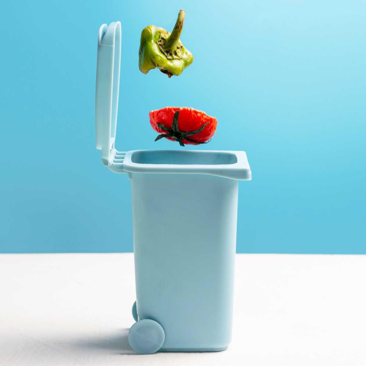 Cleaning the bin