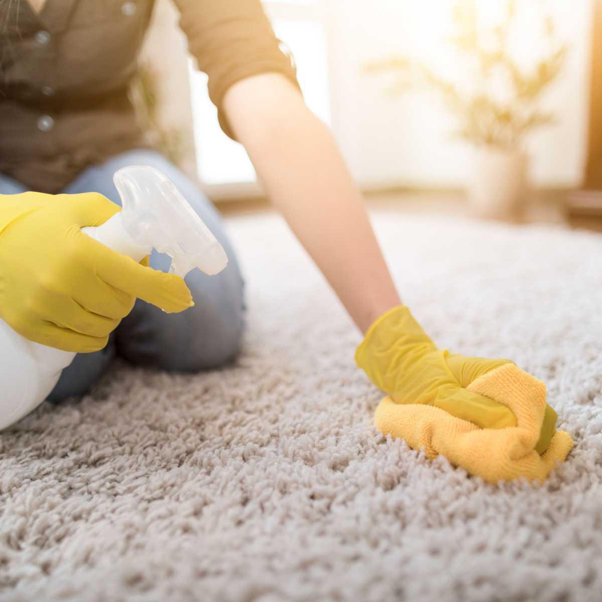 Spring carpet cleaning