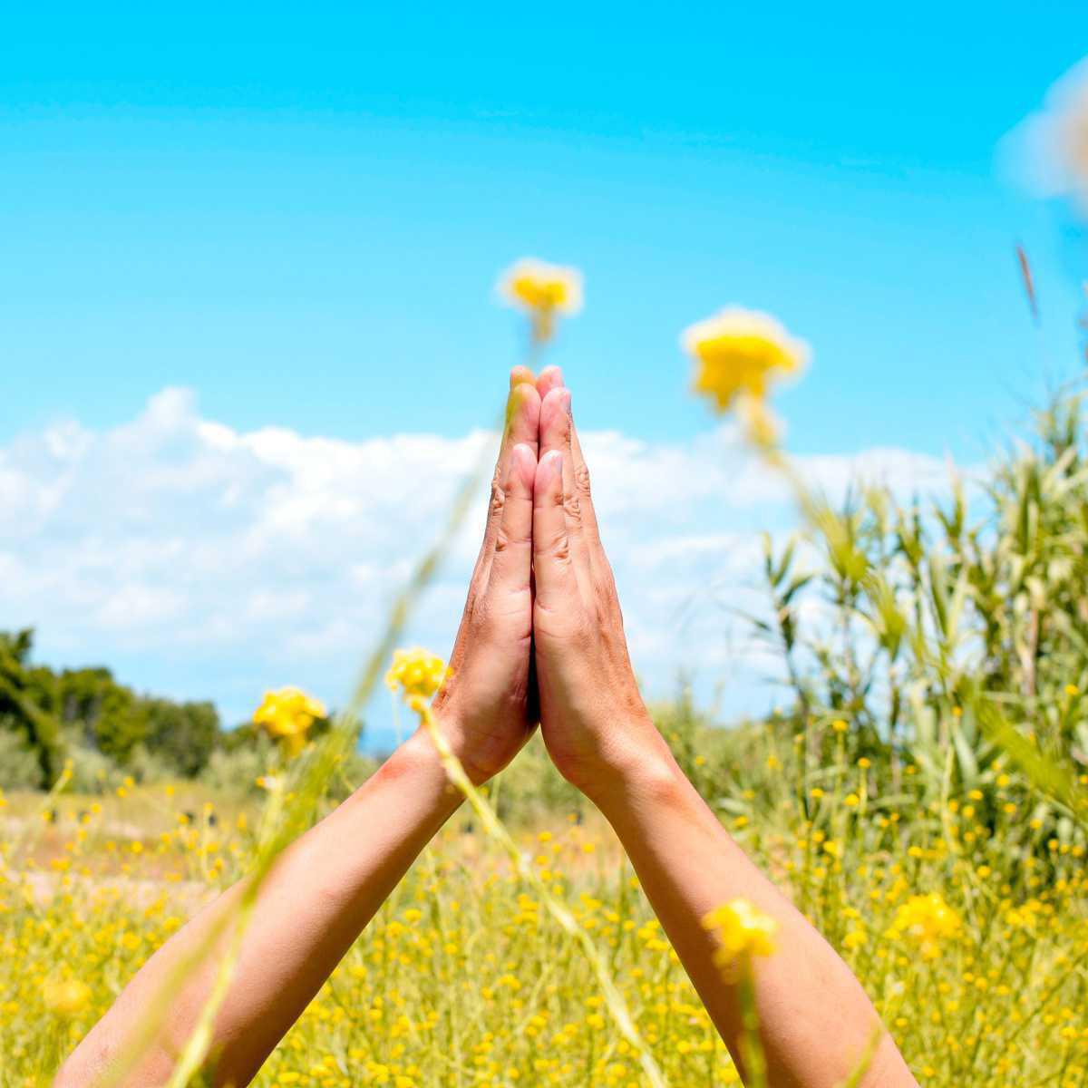 Spring and its naturopathic challenges