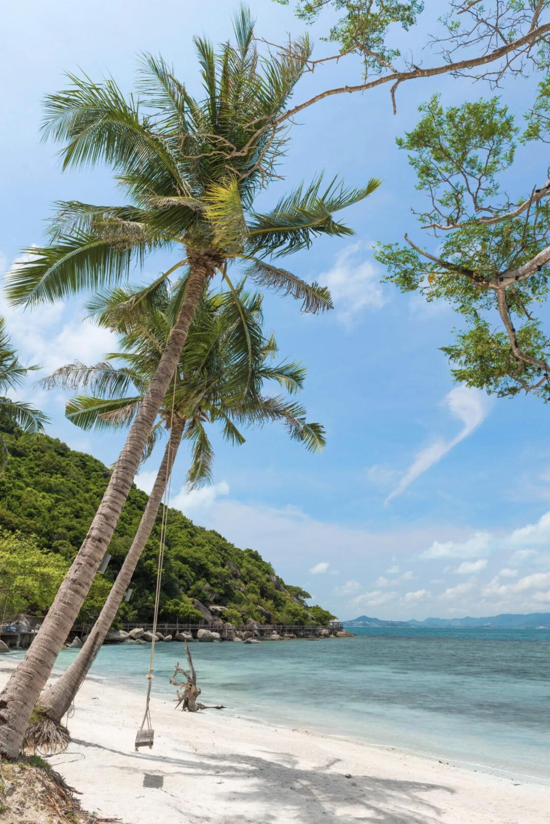 Koh Phangan Terre & Mer : Excursion en français, en petit groupe