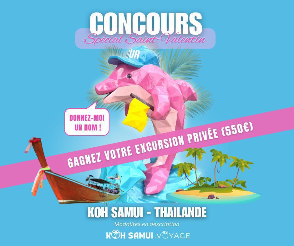 Concours Koh Samui : Nommez notre Dauphin Rose et gagnez une excursion privée !