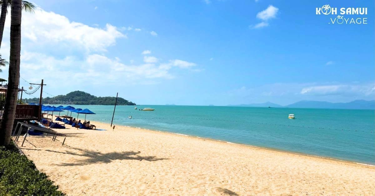 Les plus belles plages de Koh Samui : Votre guide paradis 🌴🌊