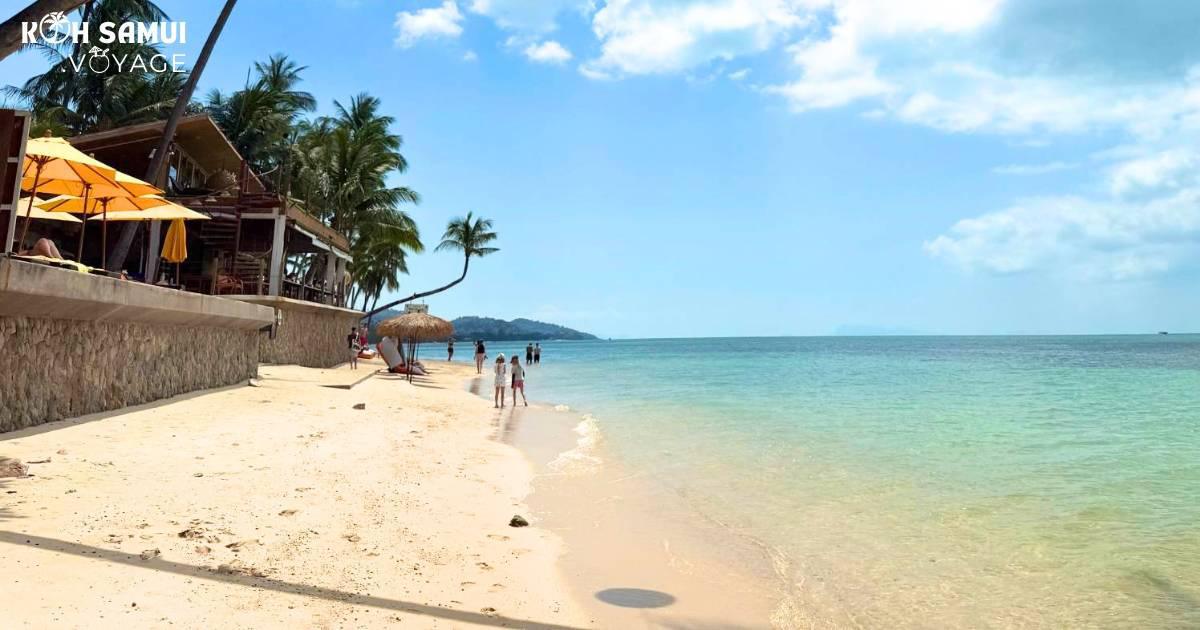 Les plus belles plages de Koh Samui : Votre guide paradis 🌴🌊