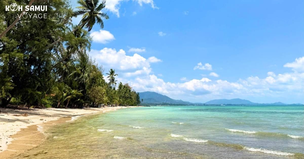 Les plus belles plages de Koh Samui : Votre guide paradis 🌴🌊 Les plus belles plages de Koh Samui : Votre guide paradis 🌴🌊
