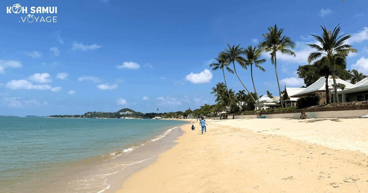 Les plus belles plages de Koh Samui : Votre guide paradis 🌴🌊