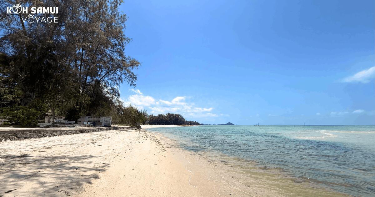 Les plus belles plages de Koh Samui : Votre guide paradis 🌴🌊 Les plus belles plages de Koh Samui : Votre guide paradis 🌴🌊