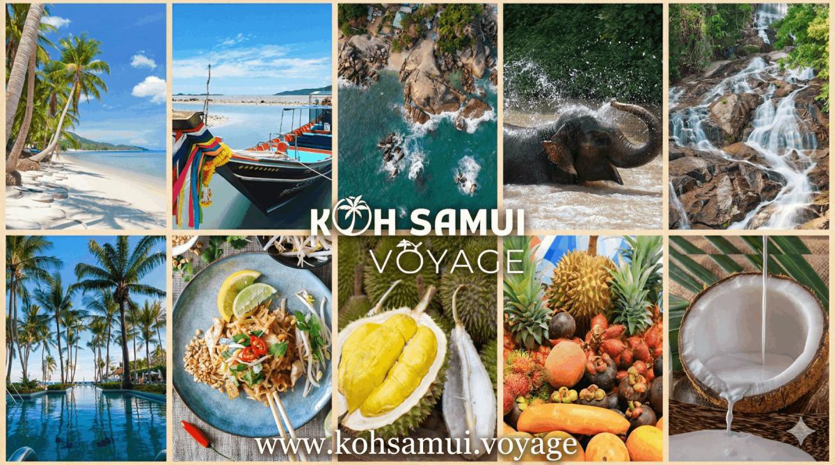 Excursions Koh Samui 2026 : Comment profiter du paradis sans subir la hausse des prix ? Excursions Koh Samui 2026 : Comment profiter du paradis sans subir la hausse des prix ?