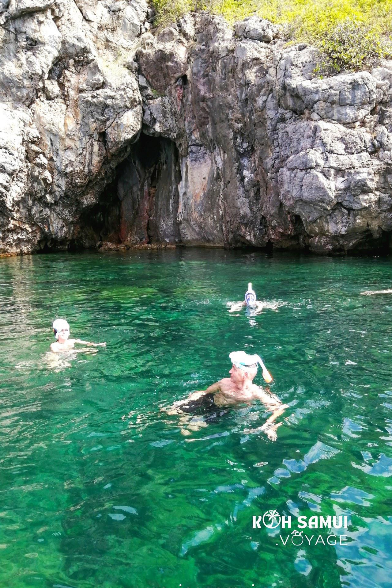 Snorkling avec poissons multicolores