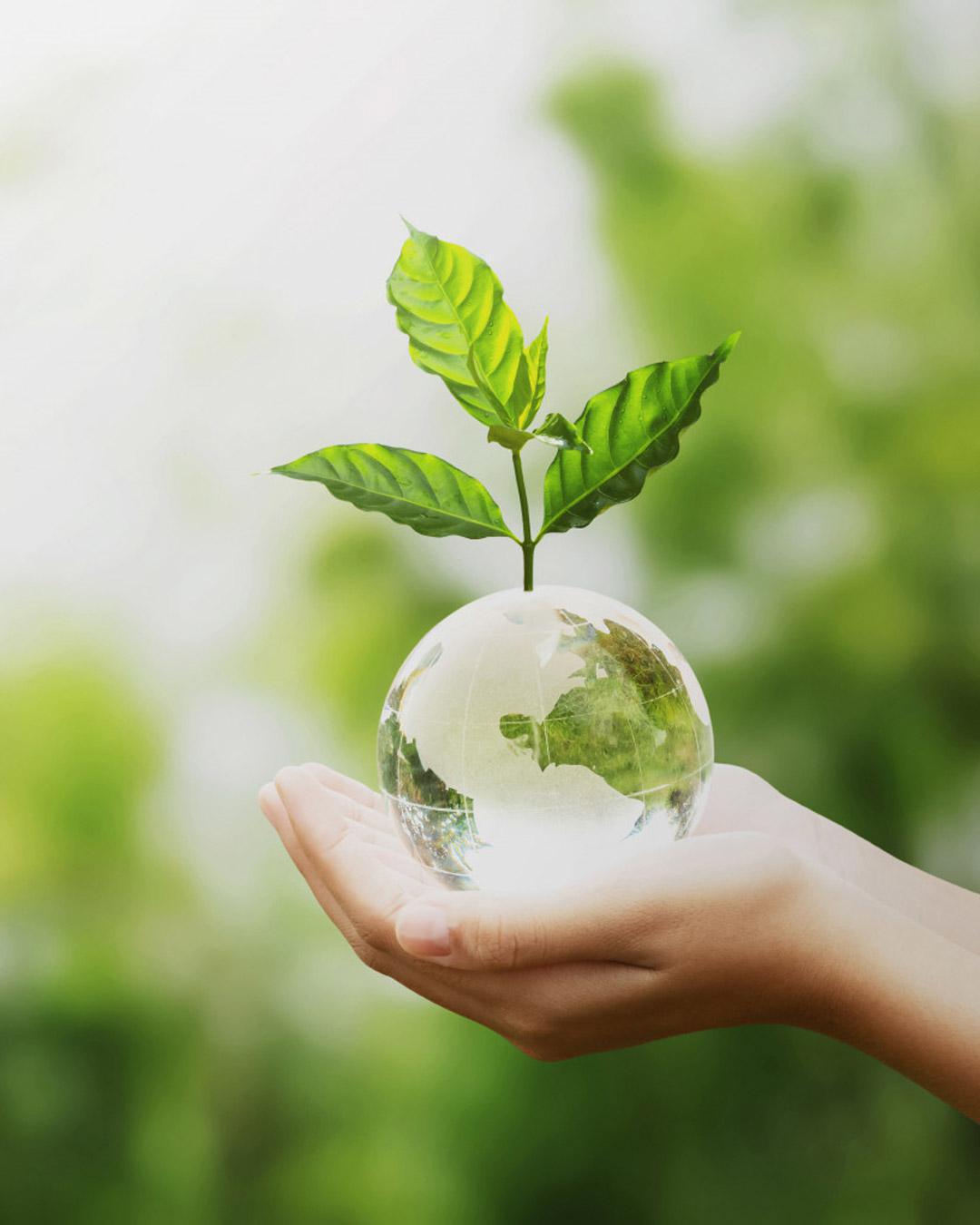 PARTONS A LA DÉCOUVERTE DE LA NATUROPATHIE PARTONS A LA DÉCOUVERTE DE LA NATUROPATHIE