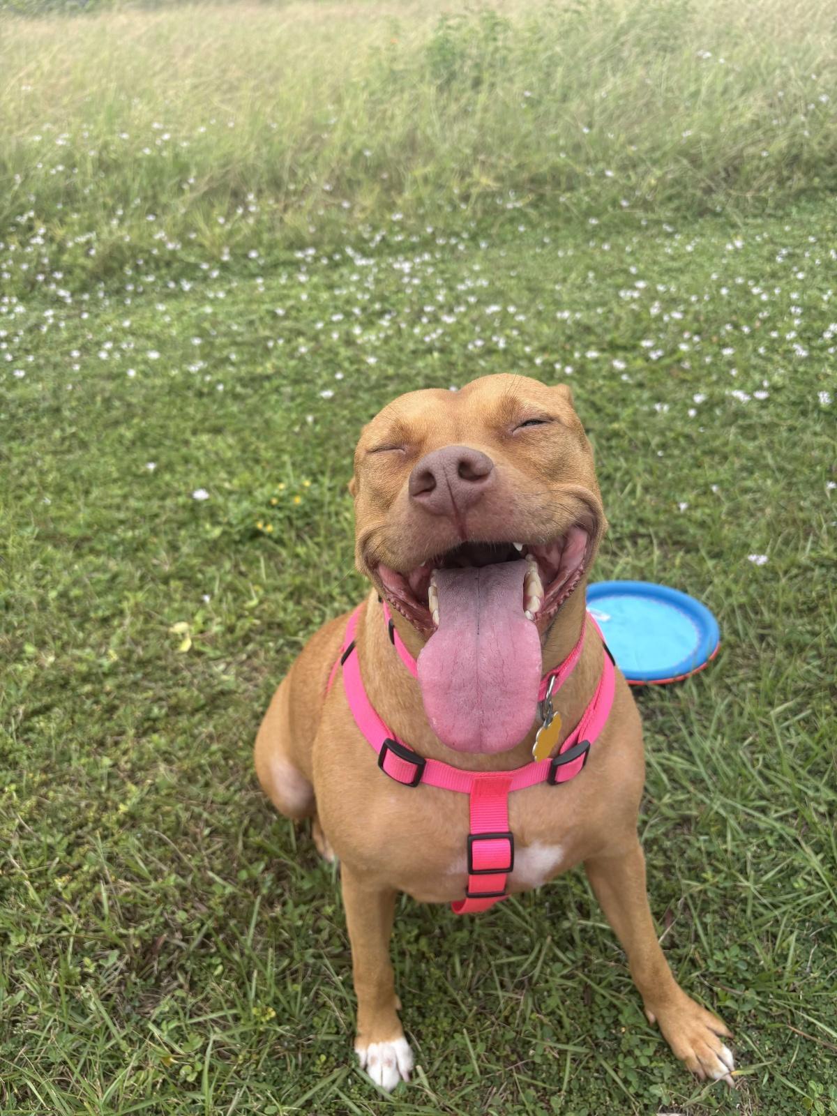 God Cares About Every Detail  God Cares About Every Detail