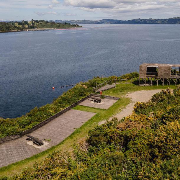 Fortin Tauco Fortin Tauco