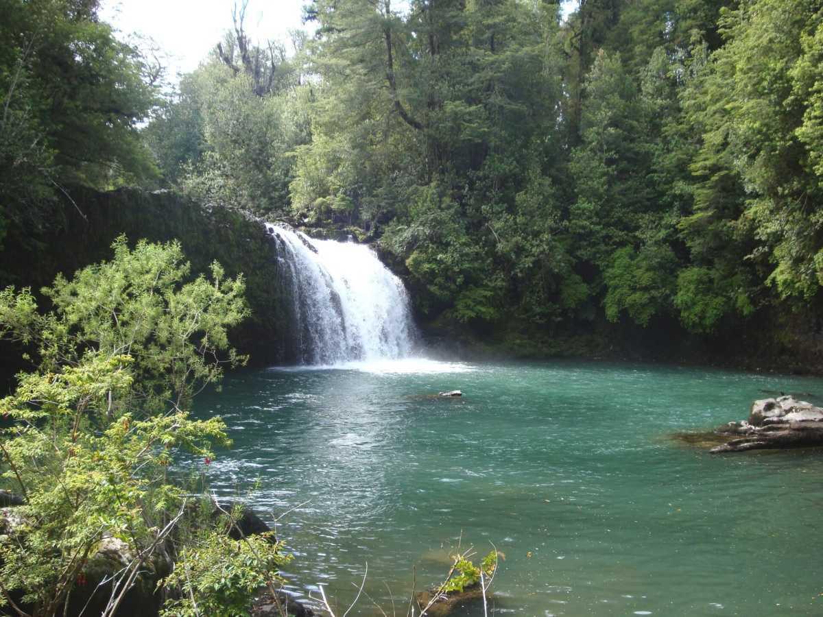 Parque Nacional Puyehue