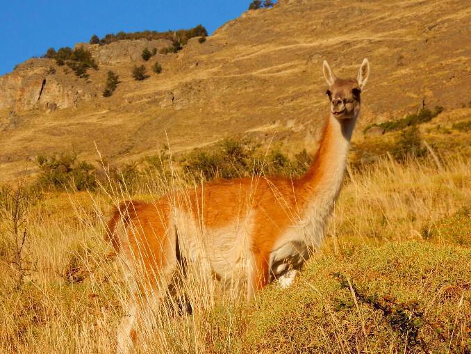 Reserva Nacional Tamango Reserva Nacional Tamango