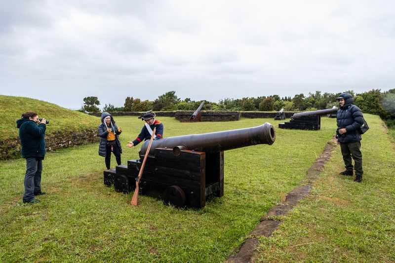 ✨🐧 Pingüinos y costa salvaje ✨ Descubre naturaleza única