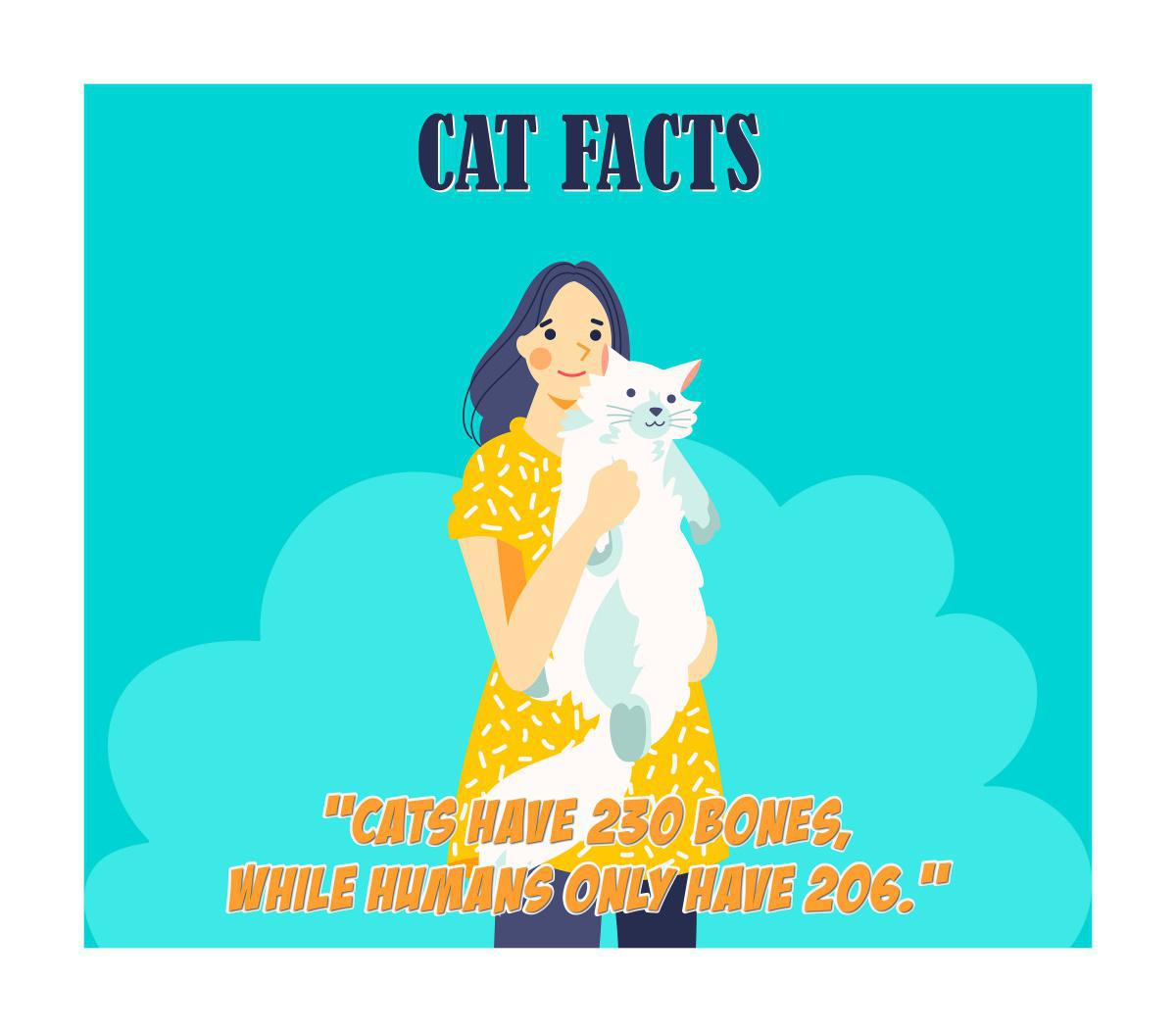 Cat Facts Prank