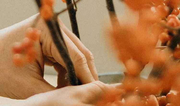 Fall Decorating on a Budget (Video)